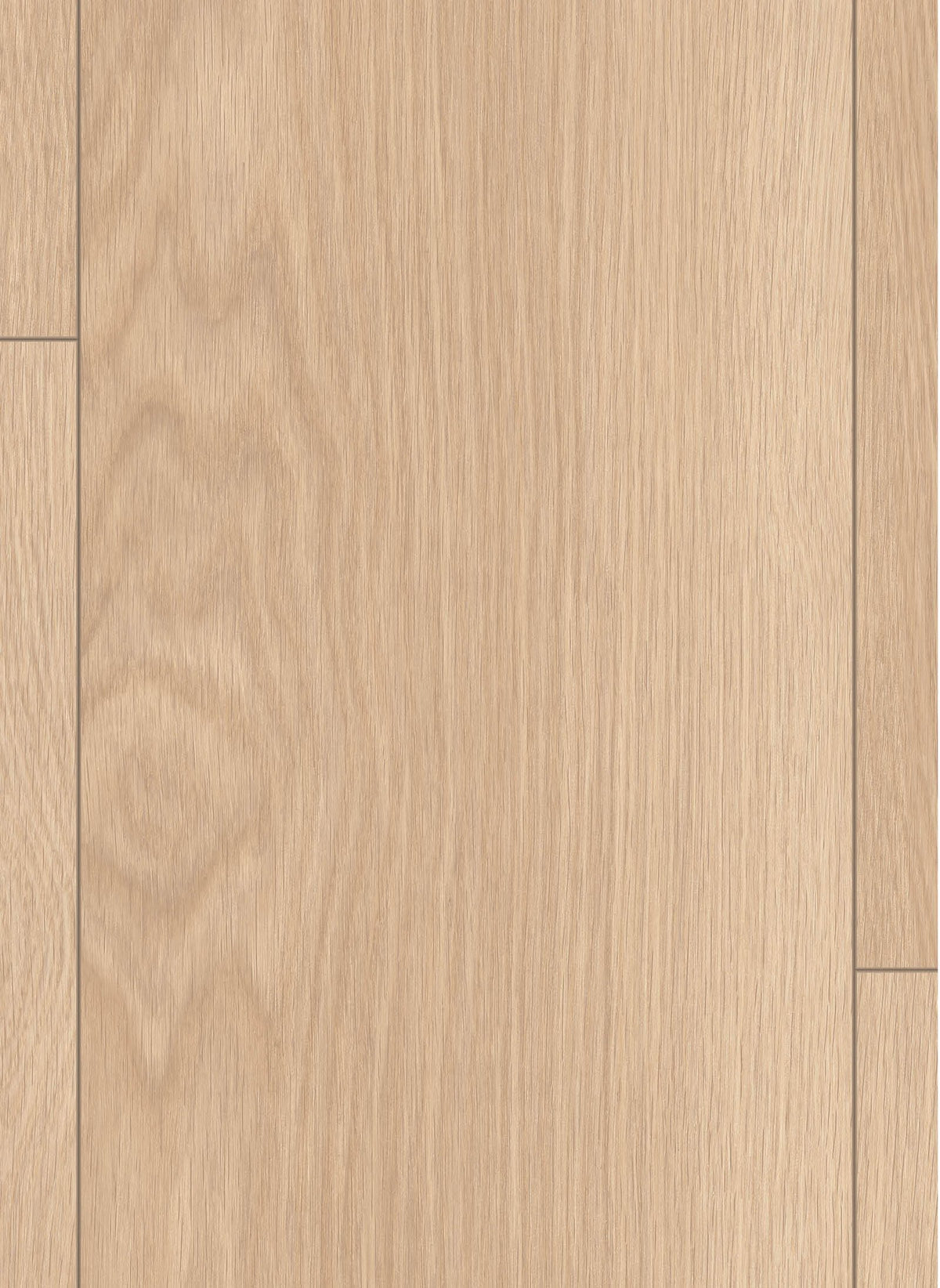 Gelasta Lion 8 mm 2133