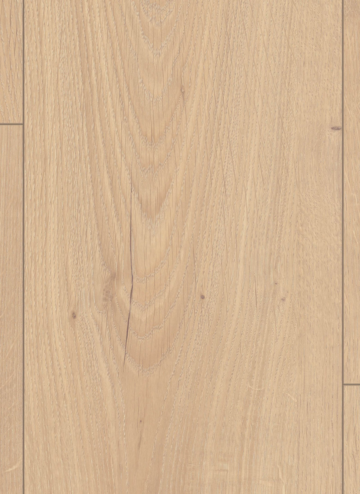 Gelasta Lion 8 mm 2138