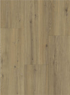 Gelasta Maestro 80631
