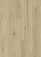 Gelasta Maestro 80641