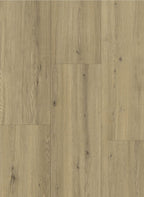 Gelasta Maestro 80651