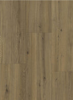Gelasta Maestro 80661