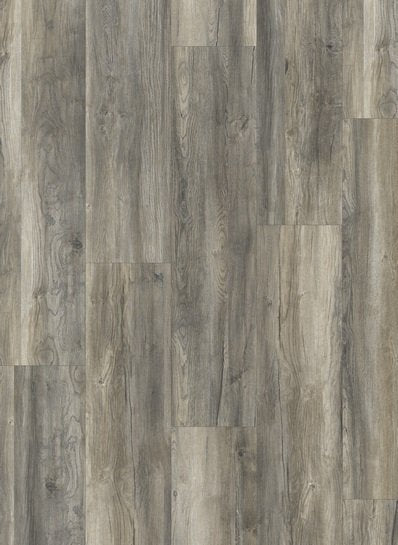 Gelasta Mammoet 3572