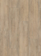 Gelasta Mammoet 4982