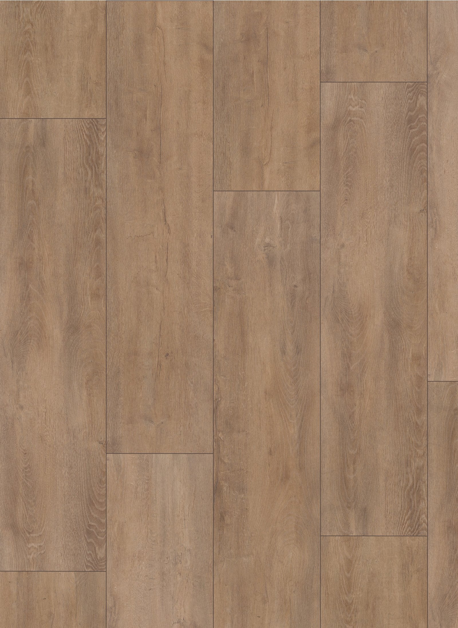 Gelasta Mammoet 4983