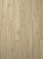 Gelasta Noblesse Classic 40171