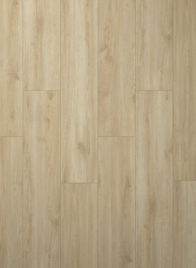Gelasta Noblesse Classic 40171