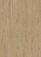 Gelasta Oakland 6100 (dryback)