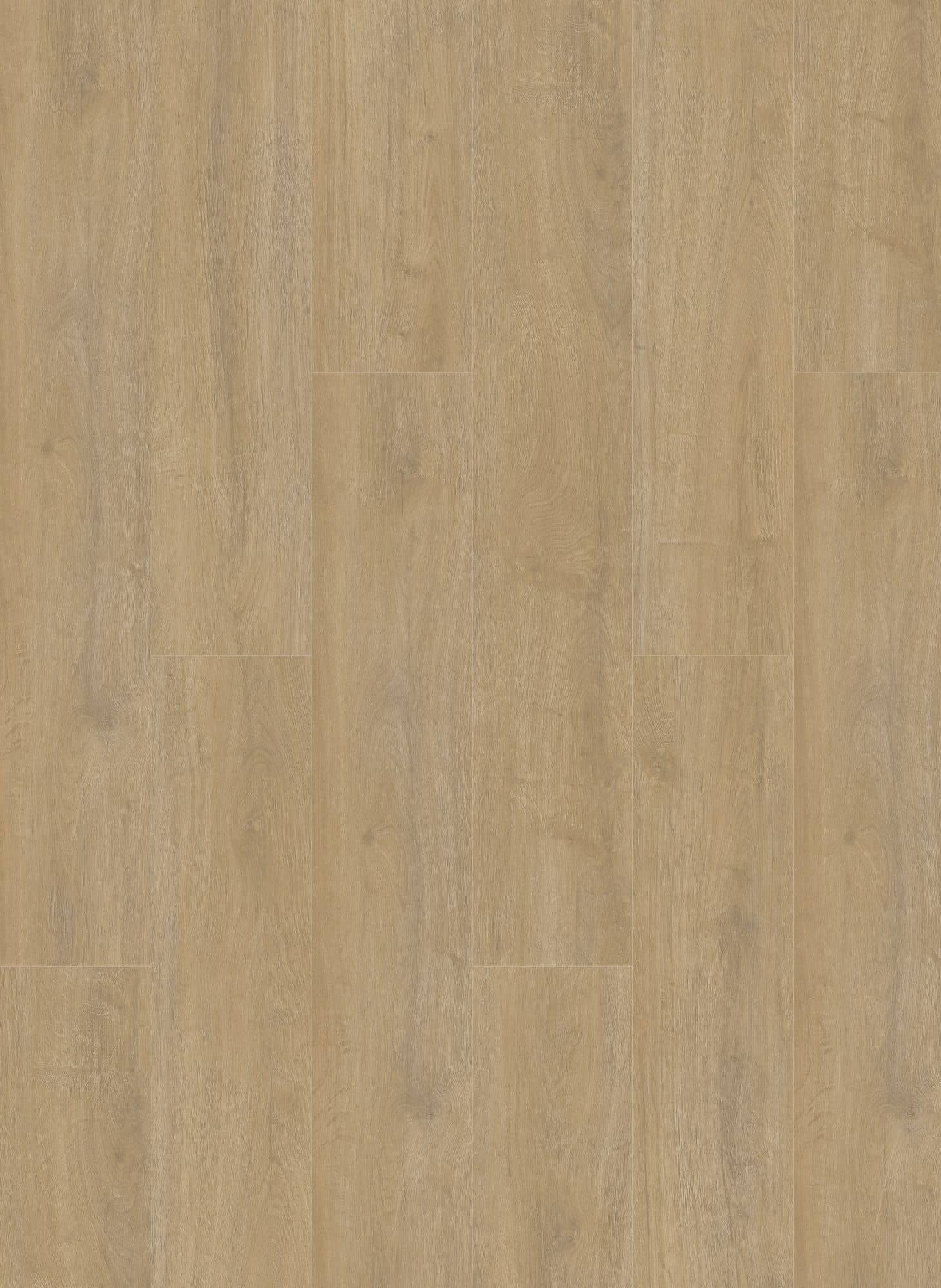 Gelasta Oakland 7100 (rigid click)