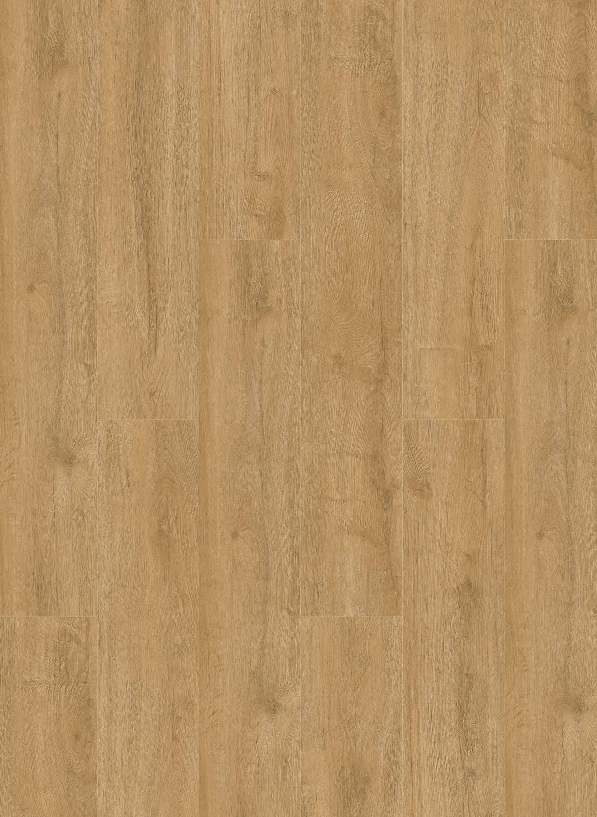 Gelasta Oakland 7101 (rigid click)