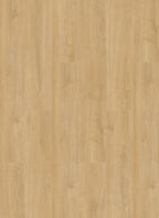 Gelasta Oakland 7102 (rigid click)