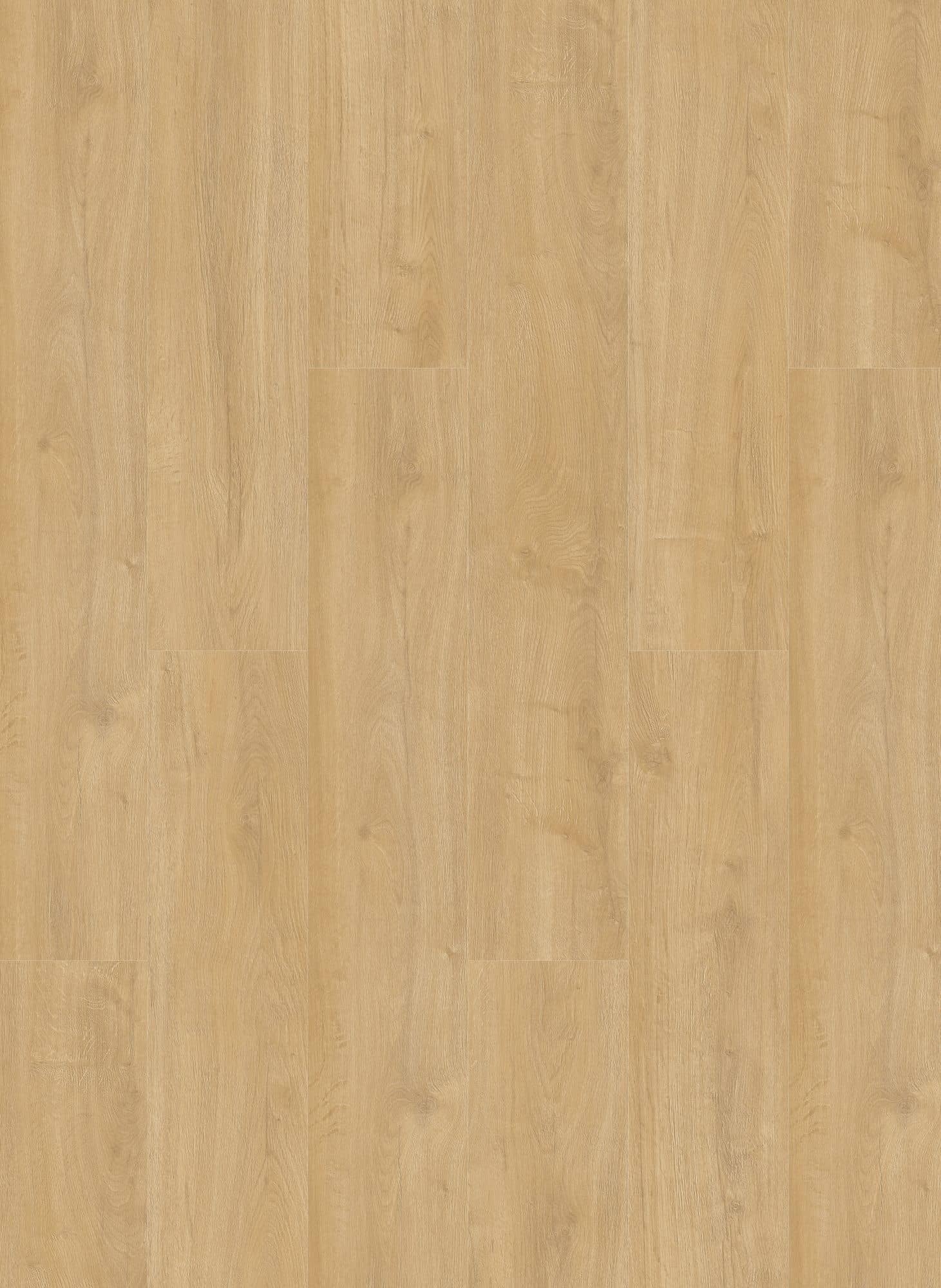 Gelasta Oakland 7102 (rigid click)
