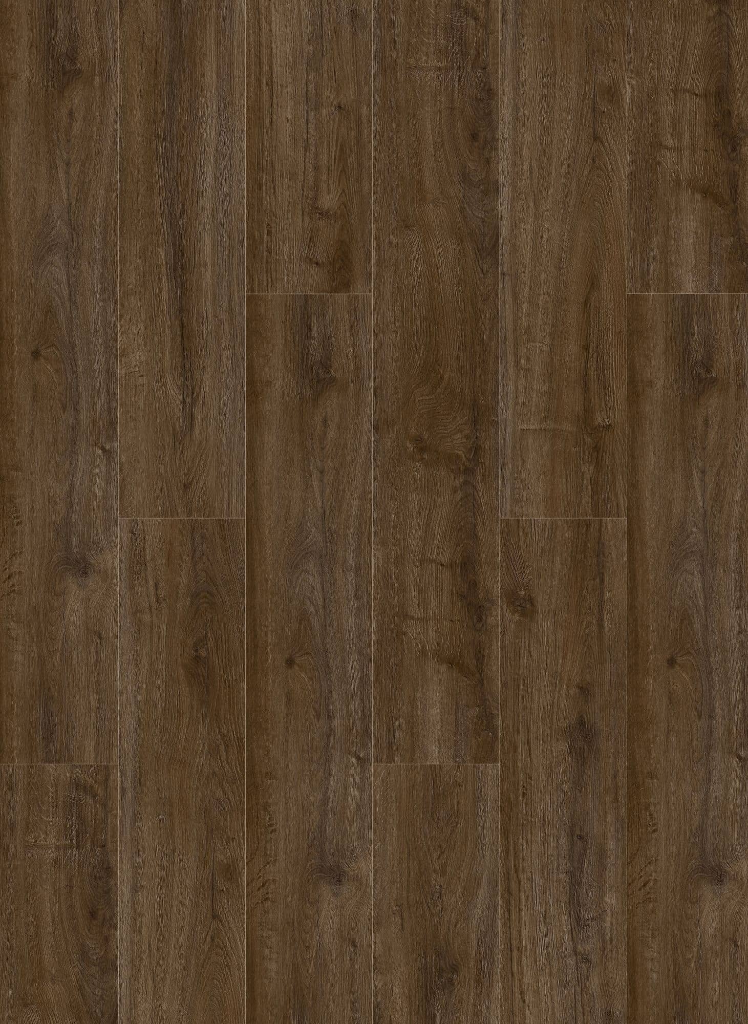 Gelasta Oakland 6103 (dryback)