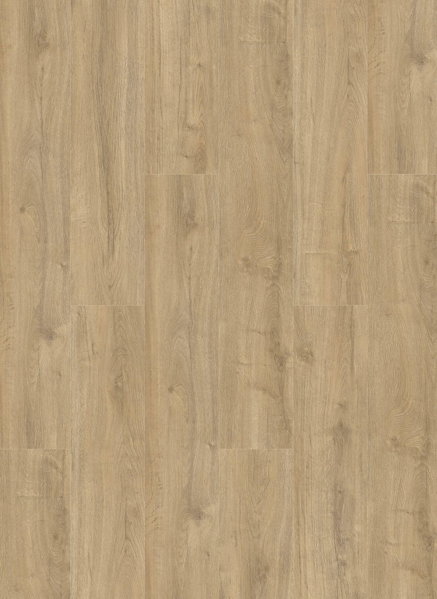 Gelasta Oakland 6104 (dryback)