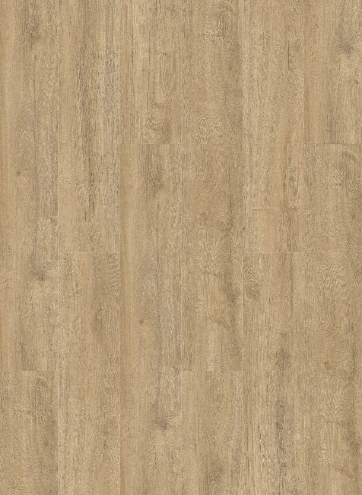 Gelasta Oakland 7104 (rigid click)