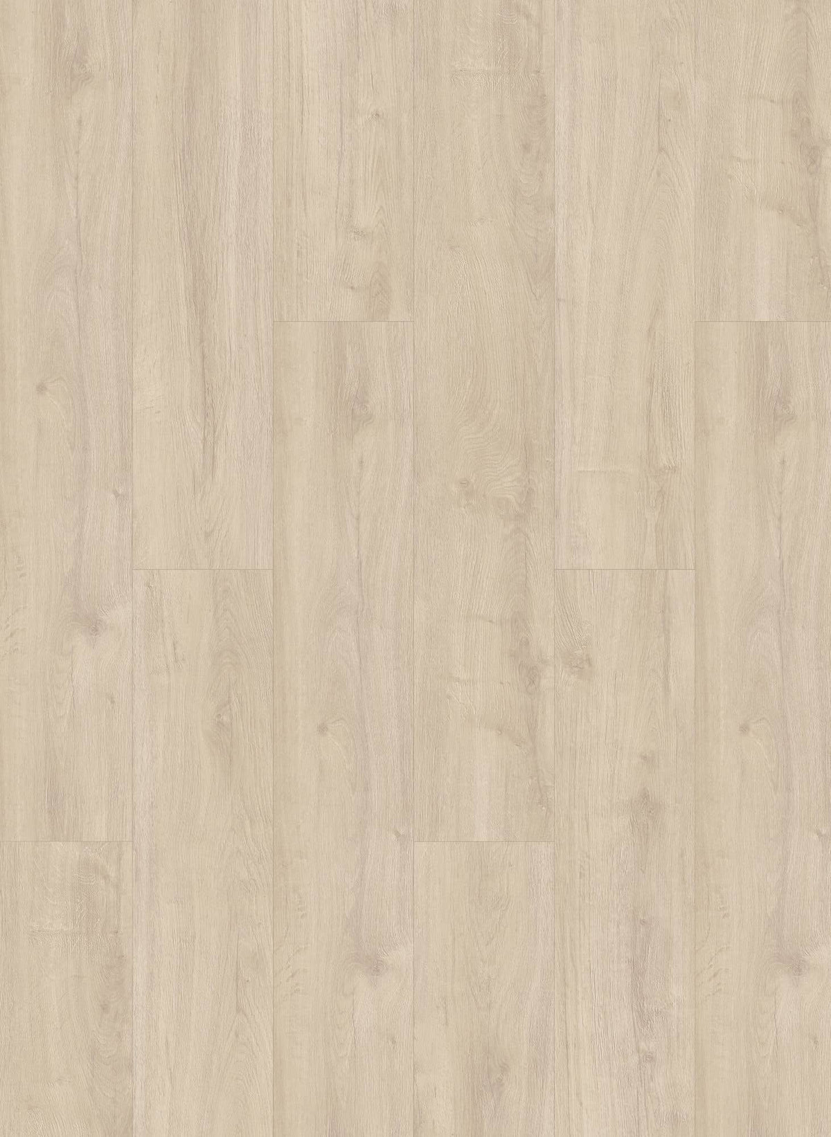 Gelasta Oakland 6105 (dryback)