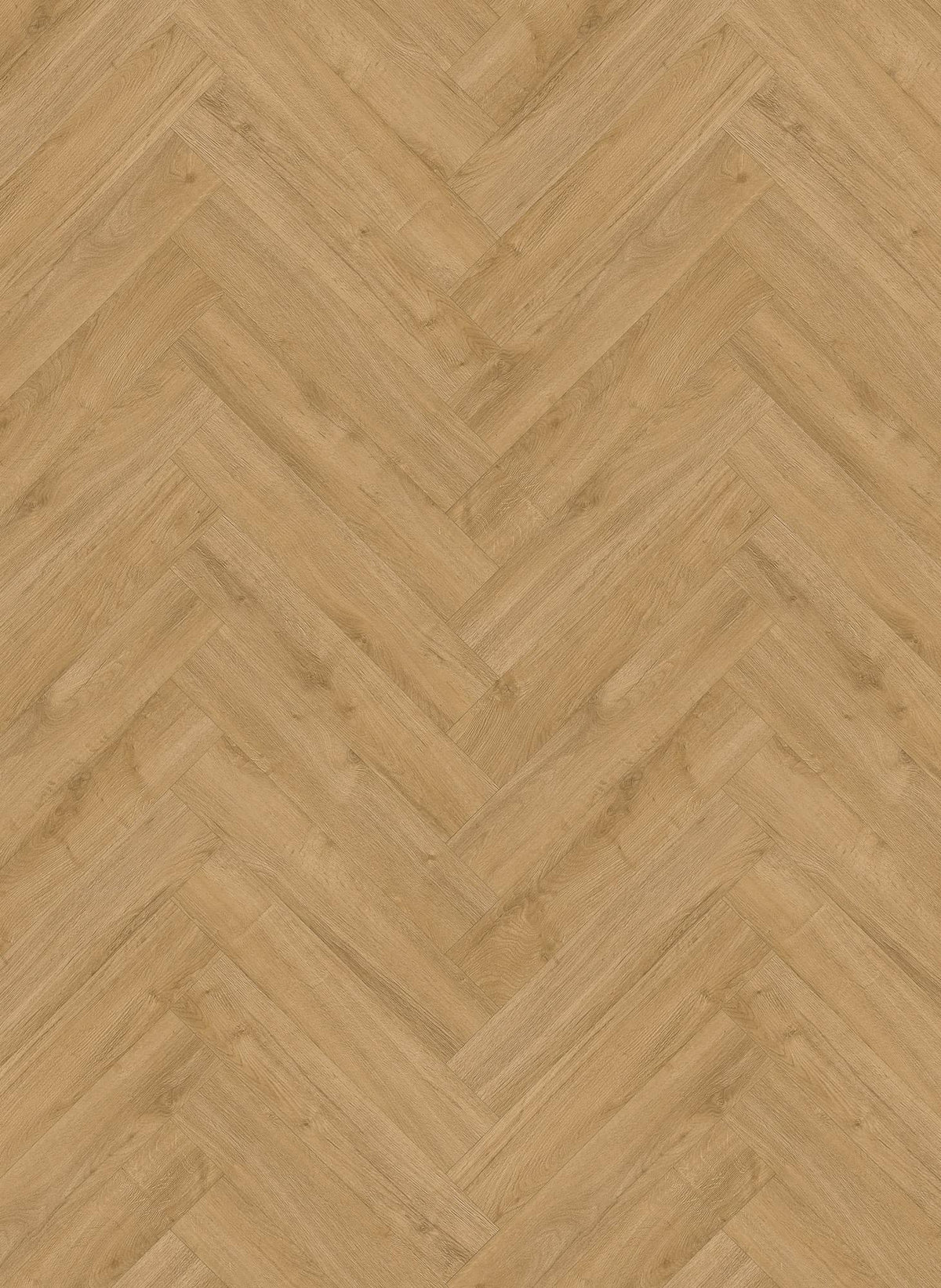 Gelasta Oakland Visgraat 7201 (rigid click)