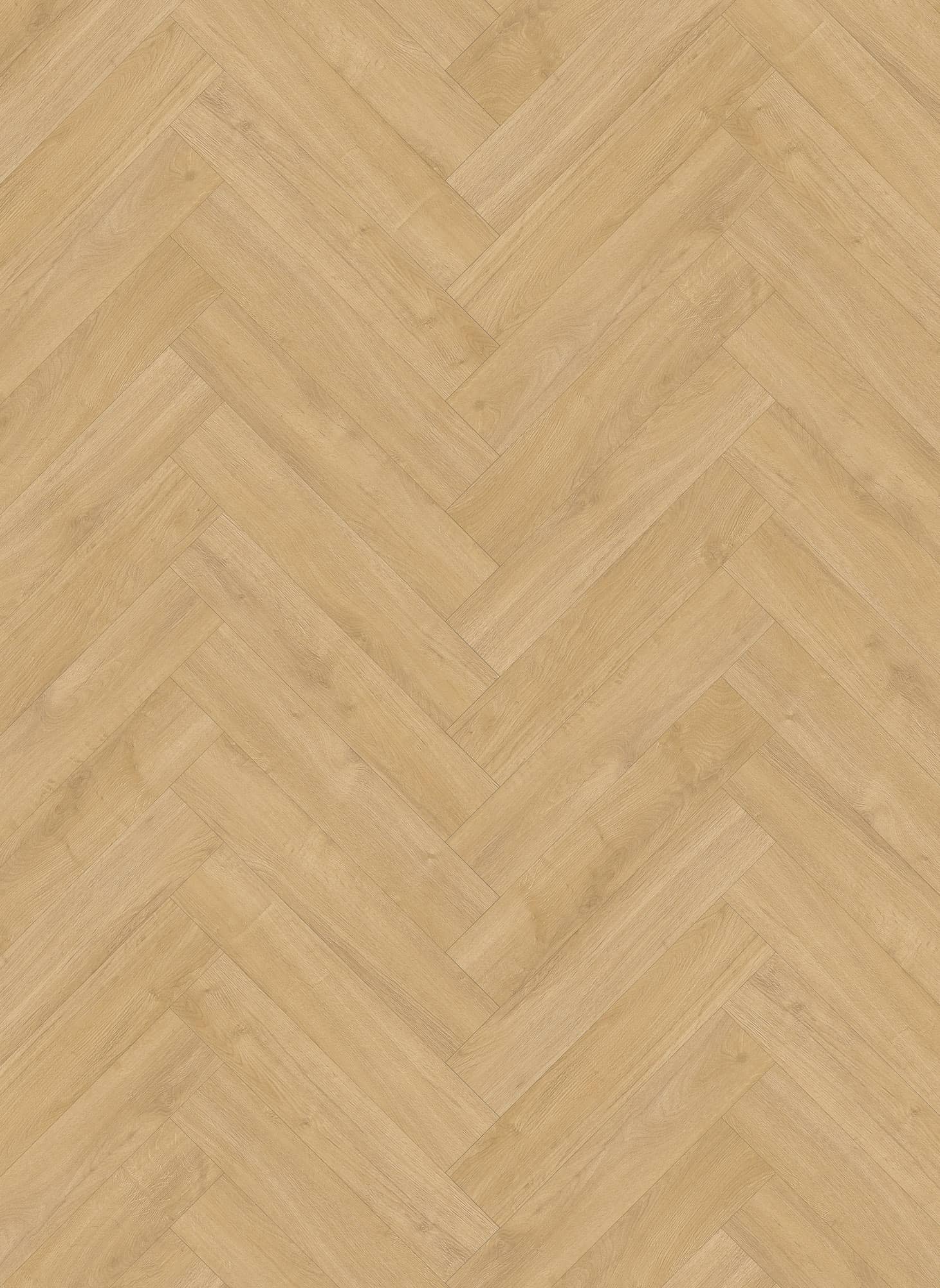 Gelasta Oakland Visgraat 7202 (rigid click)