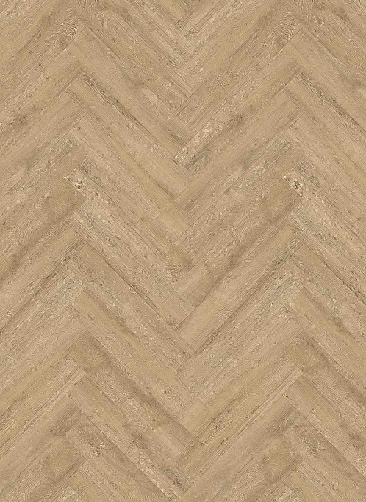 Gelasta Oakland Visgraat 7204 (rigid click)