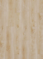 Gelasta Dynamic 2500 (dryback)
