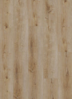 Gelasta Dynamic 2501 (dryback)