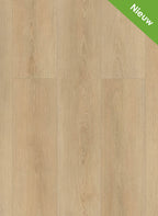 Gelasta Highland 2503 (dryback)