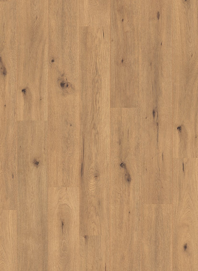 Gelasta Panthera 2067