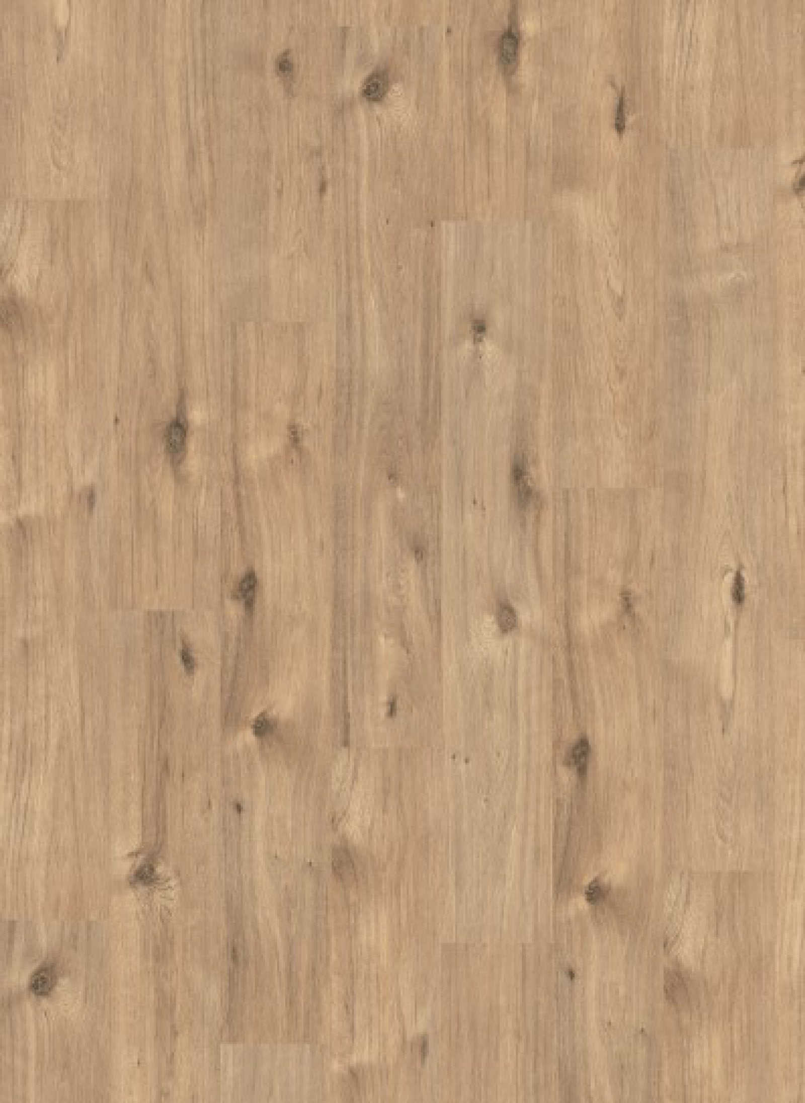 Gelasta Panthera 1061