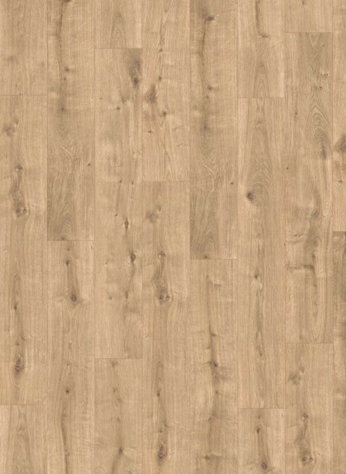 Gelasta Panthera 2102