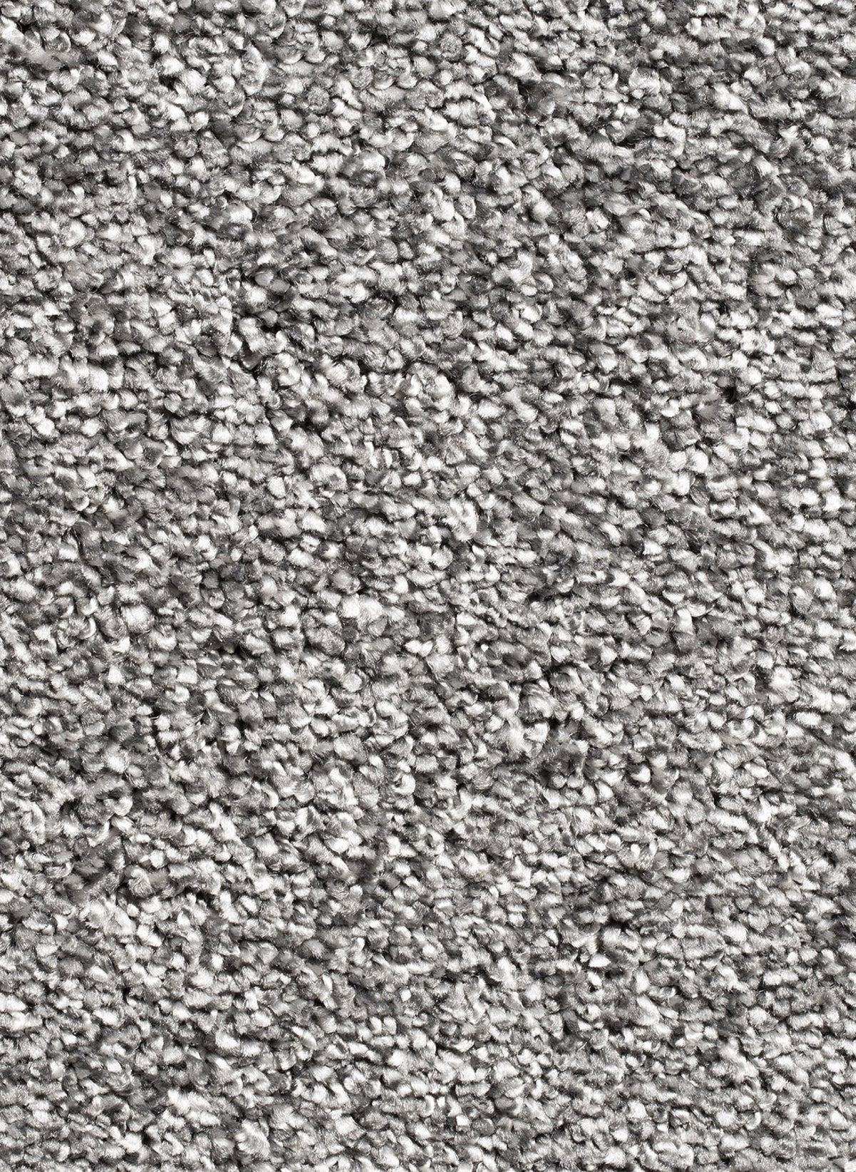 Gelasta Picasso 77