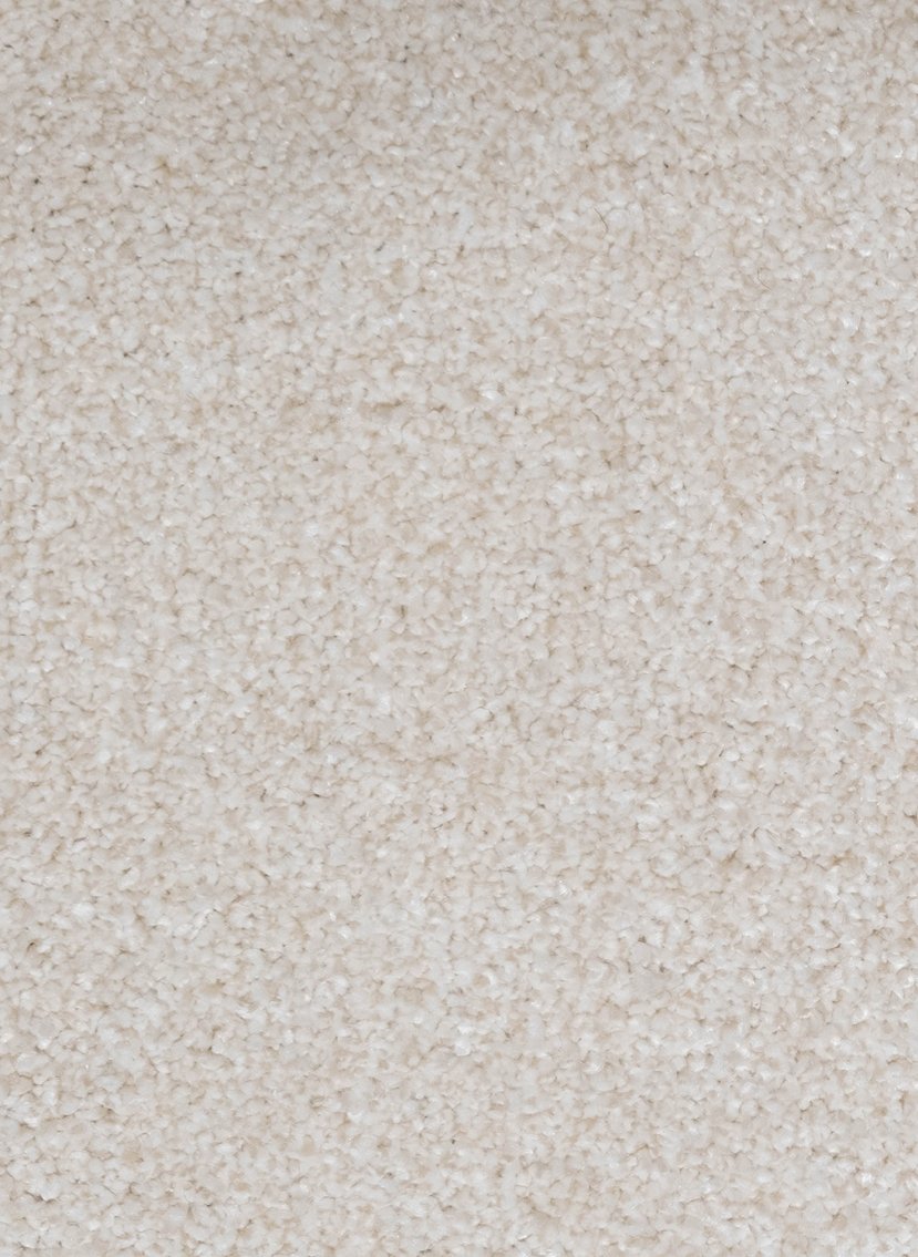 Gelasta Da Vinci 71