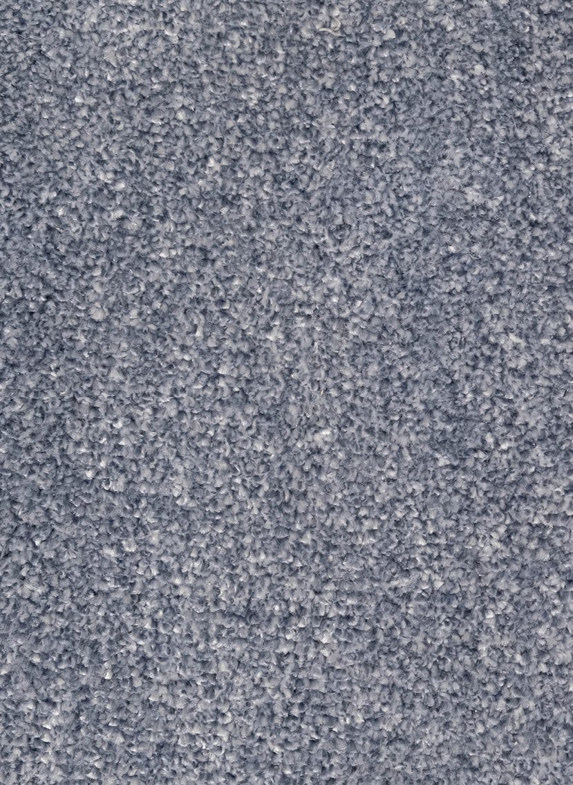 Gelasta Da Vinci 81