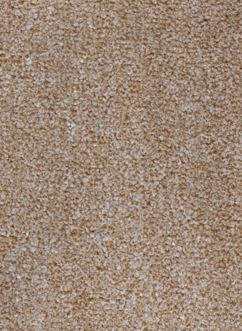 Gelasta Da Vinci 91