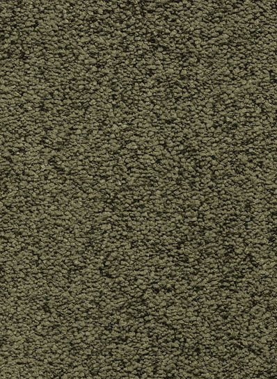 Gelasta Euphoria SDN 40