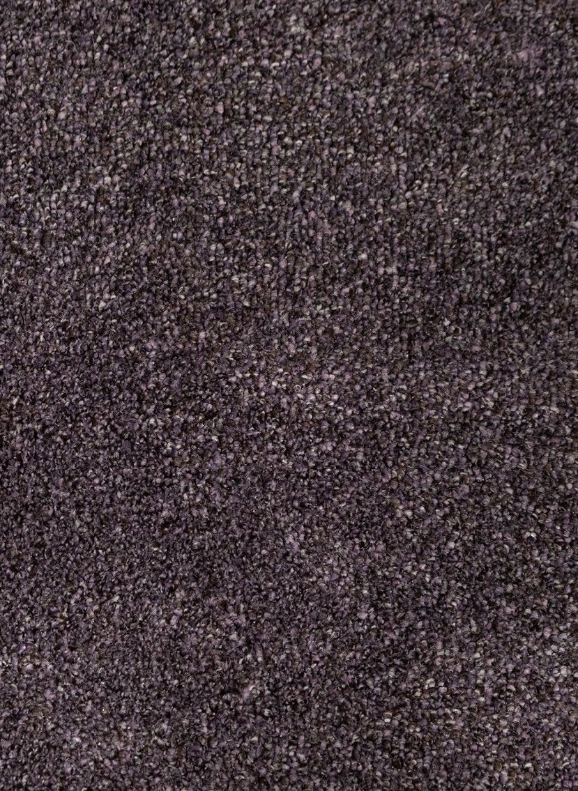Gelasta Julia 115