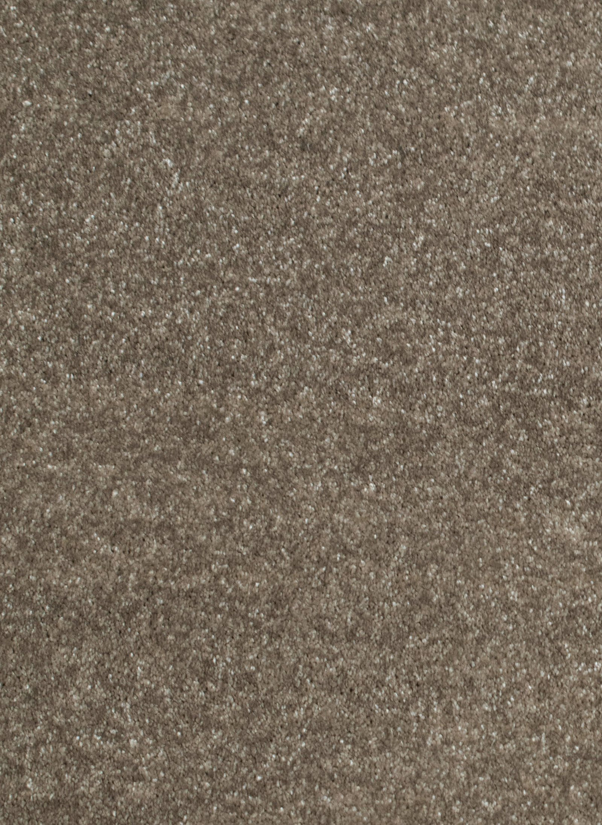 Gelasta Luxor 139