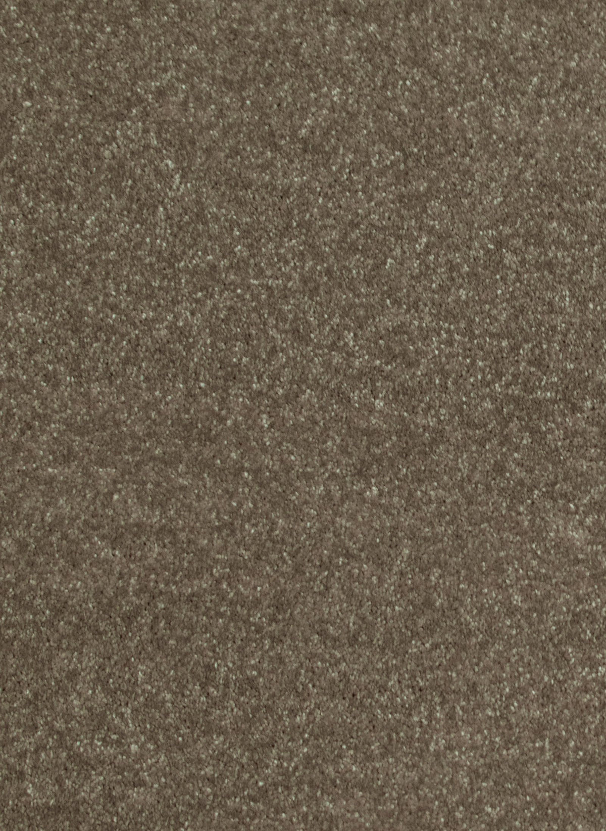 Gelasta Luxor 141
