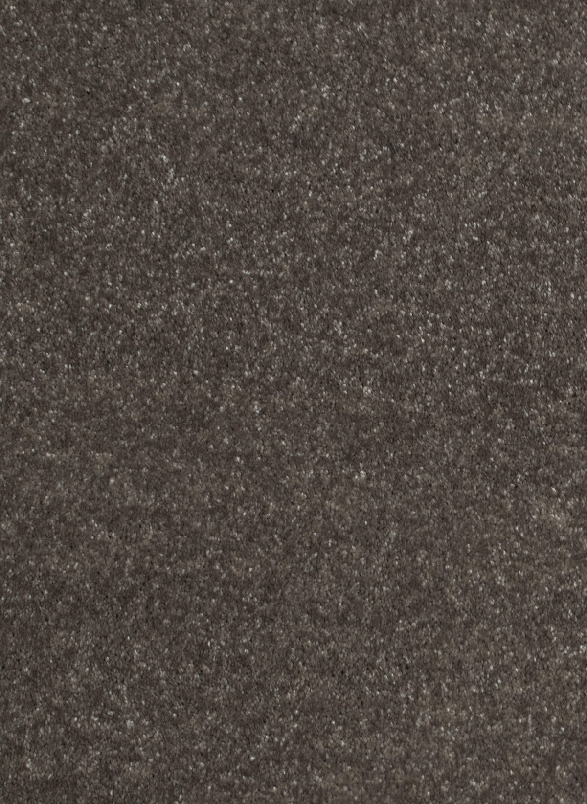 Gelasta Luxor 148