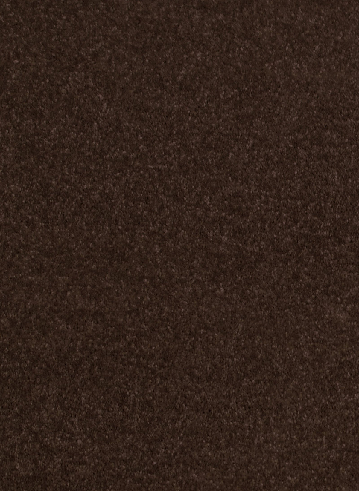 Gelasta Luxor 164