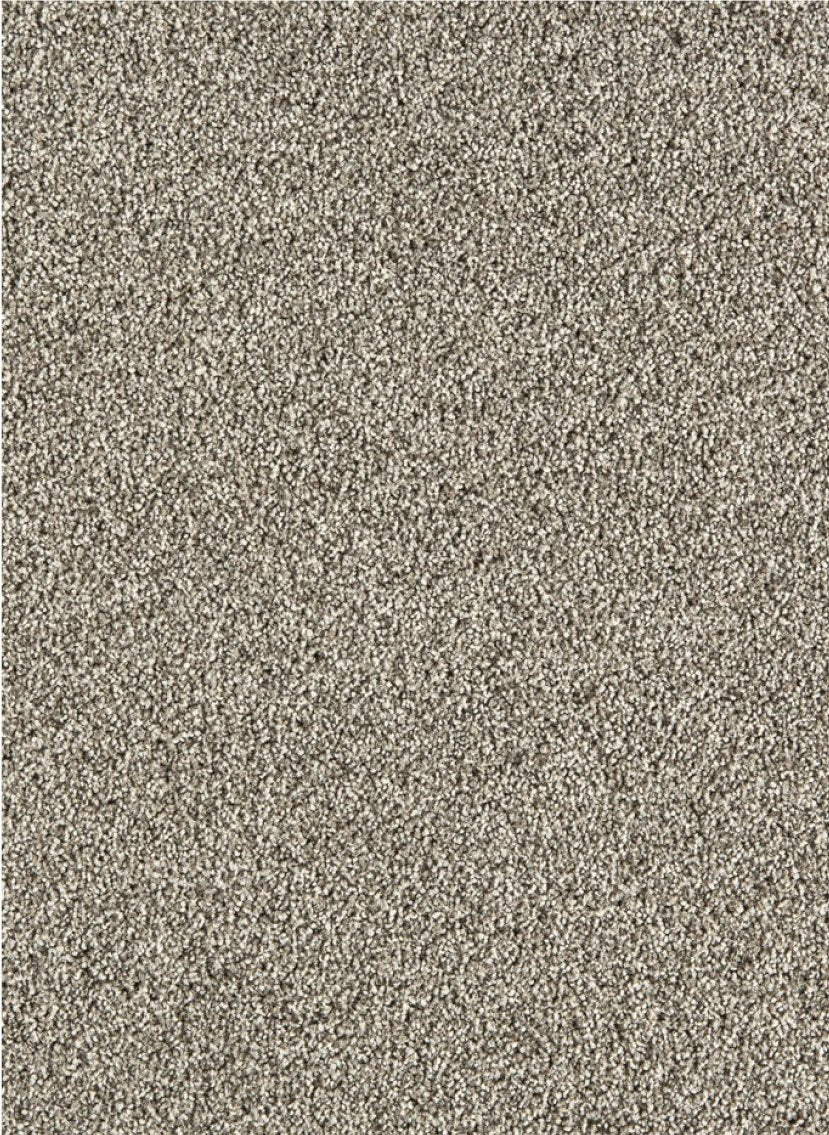Gelasta Massiv SDN 38