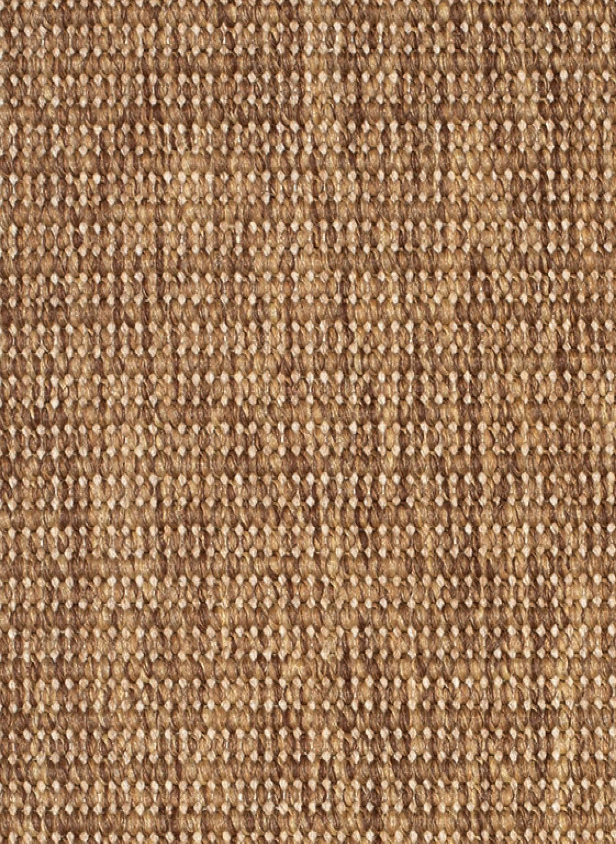 Gelasta Nature 575