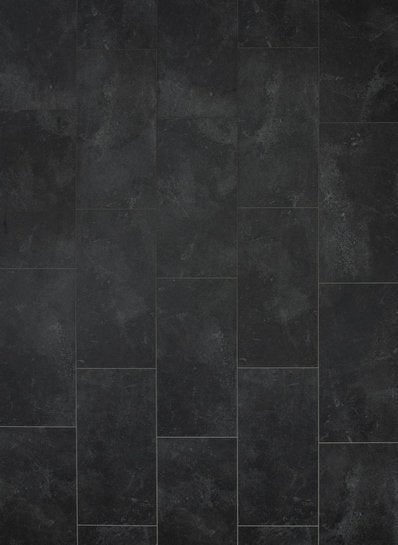 Gelasta Tayra 3079