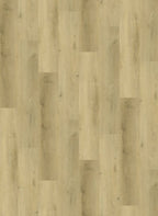 Gelasta Vario 4904 (dryback)