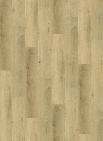 Gelasta Vario 5904 (rigid click)