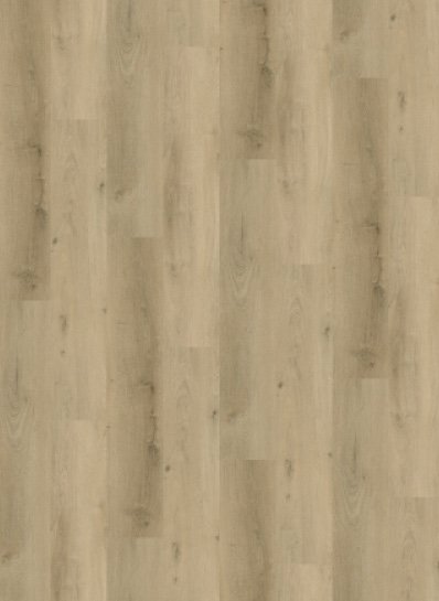 Gelasta Vario 4905 (dryback)
