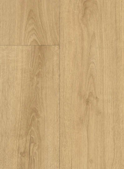 Gelasta Lugano S41